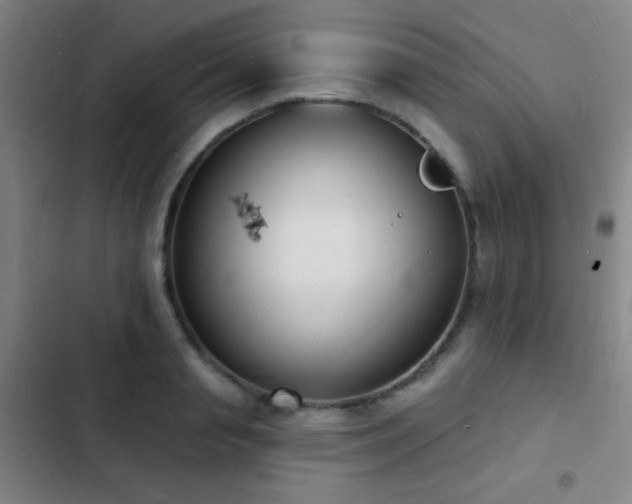 X0000103300845200808291403