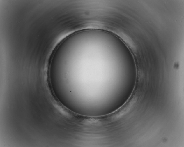 X0000103300846200808291403