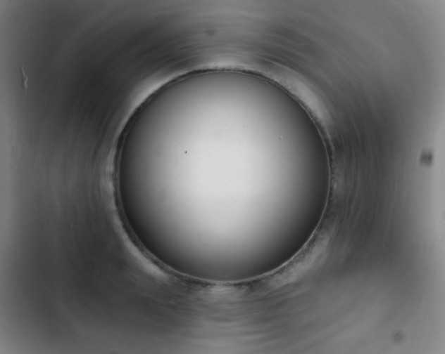 X0000103300847200808291403