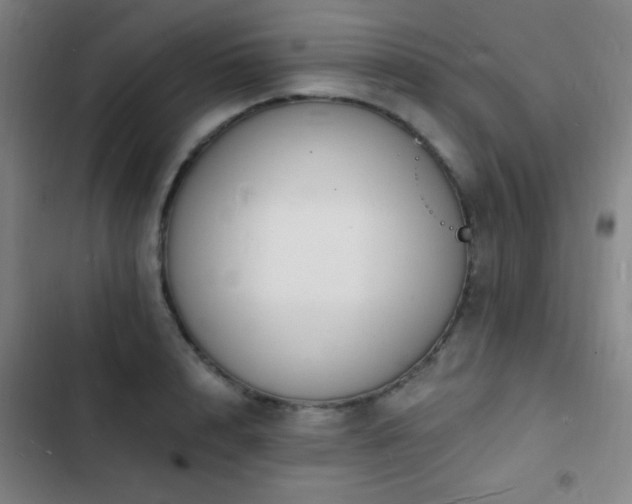 X0000103300848200808291403