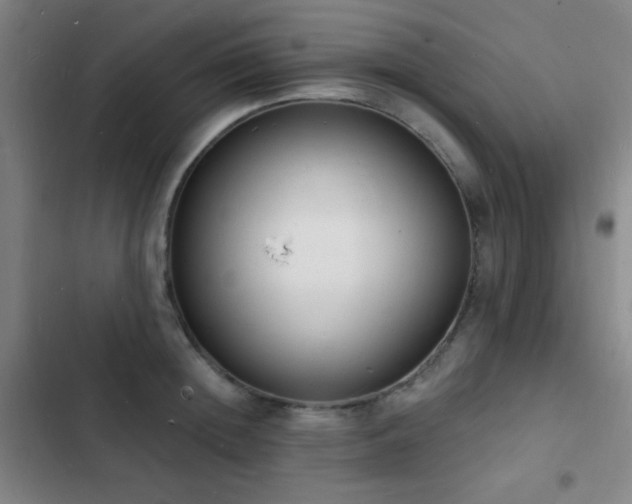 X0000103300852200808291404