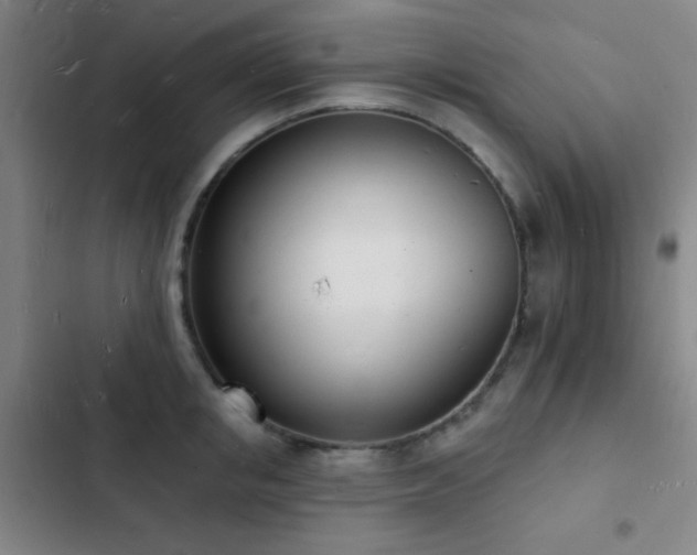 X0000103300853200808291404