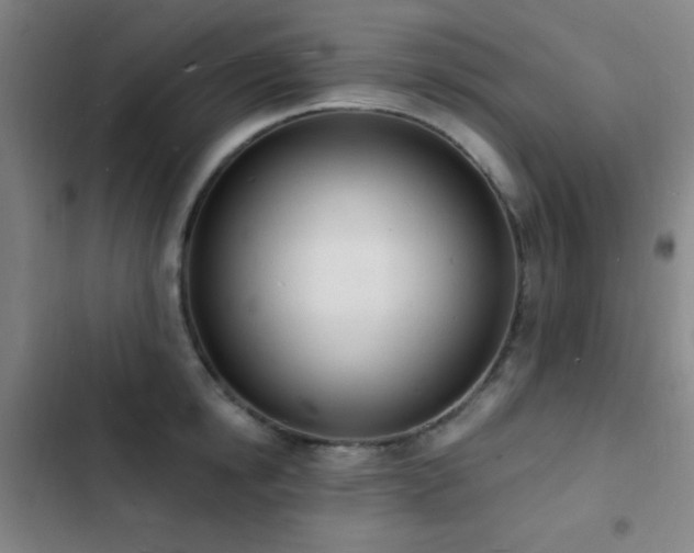 X0000103300854200808291404
