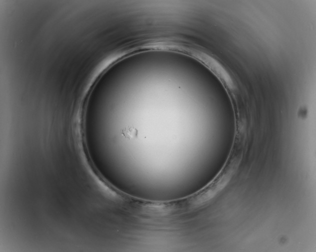 X0000103300855200808291404