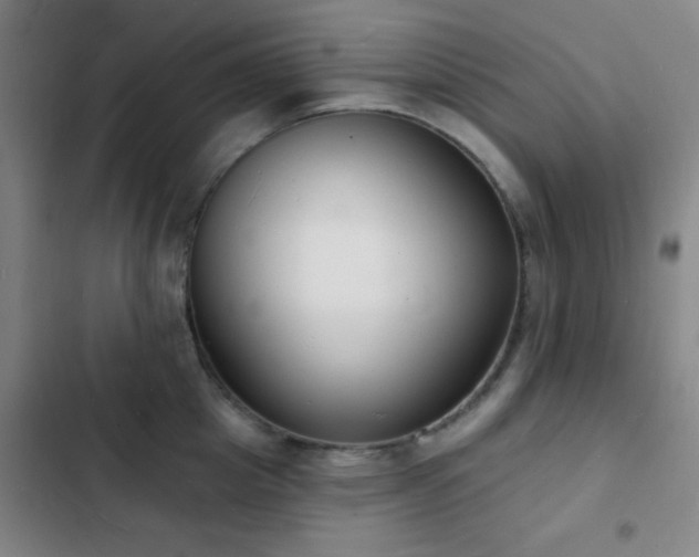 X0000103300857200808291404