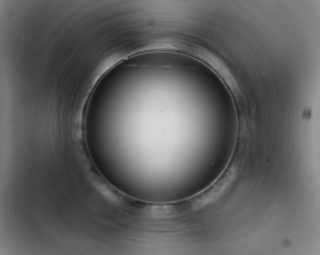 X0000103300858200808291404