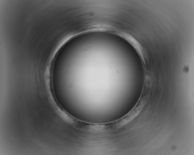 X0000103300859200808291404