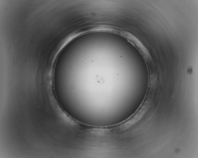 X0000103300860200808291404