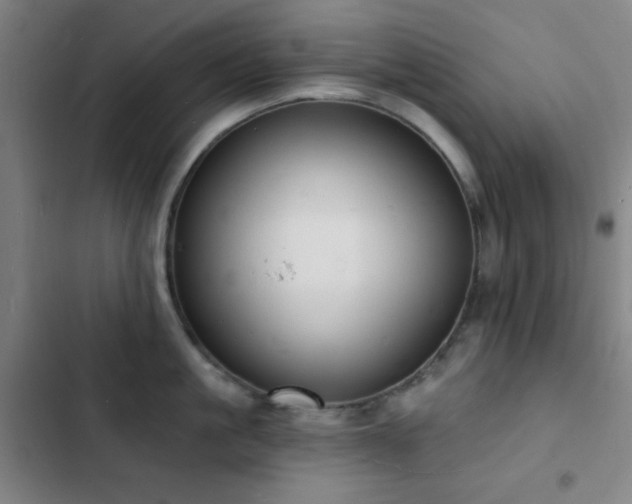 X0000103300861200808291404