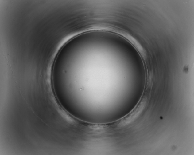X0000103300862200808291404