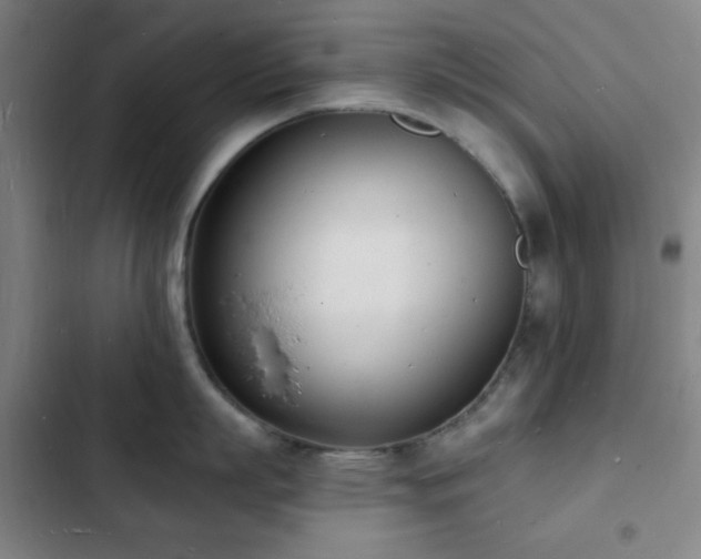 X0000103300863200808291404