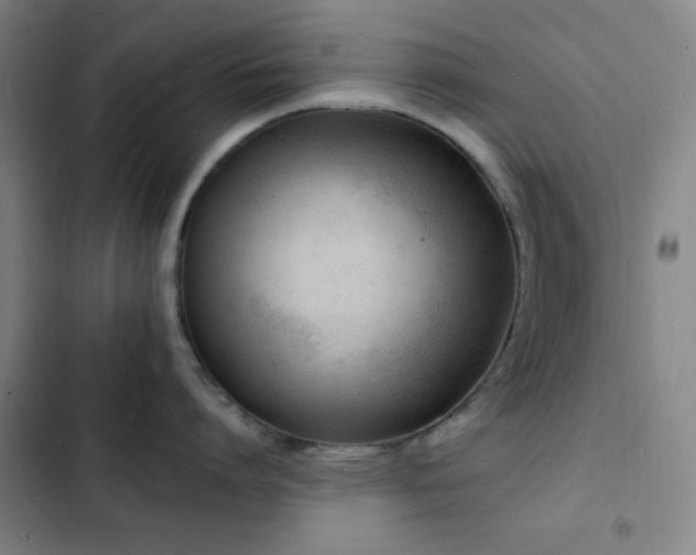X0000103300864200808291404