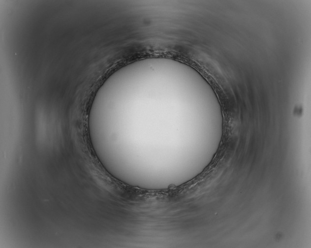 X0000103300865200808291403