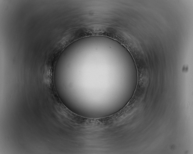 X0000103300866200808291403