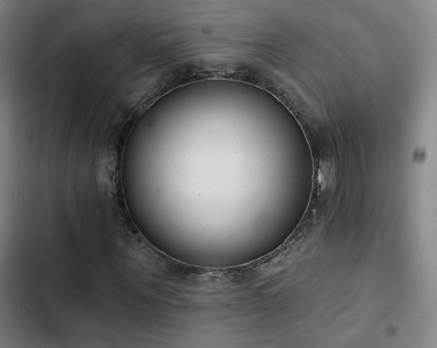 X0000103300867200808291403