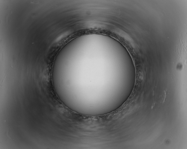 X0000103300869200808291403