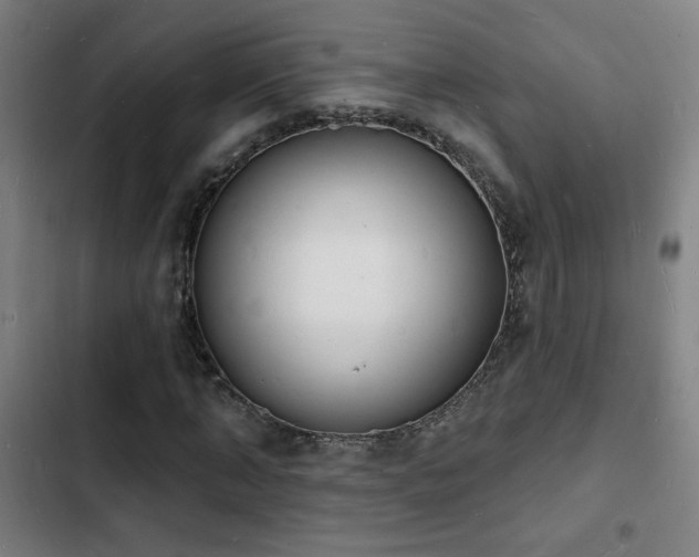 X0000103300870200808291403