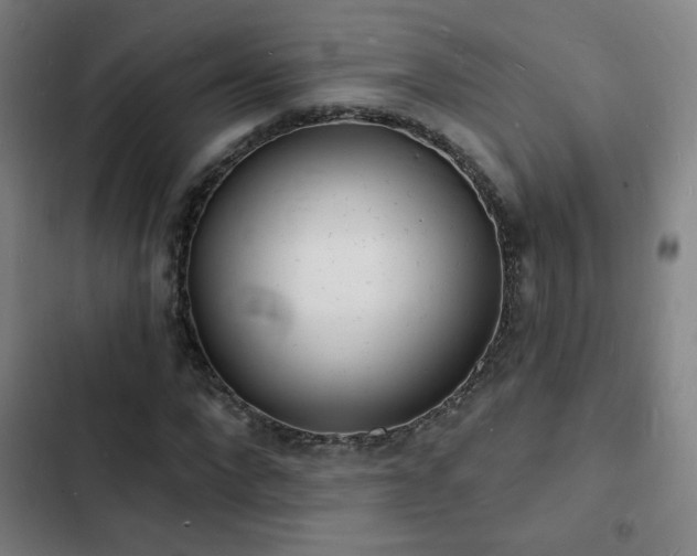X0000103300872200808291403