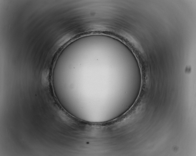 X0000103300873200808291403