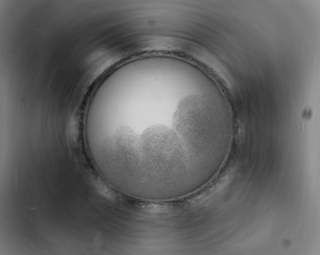 X0000103300874200808291403