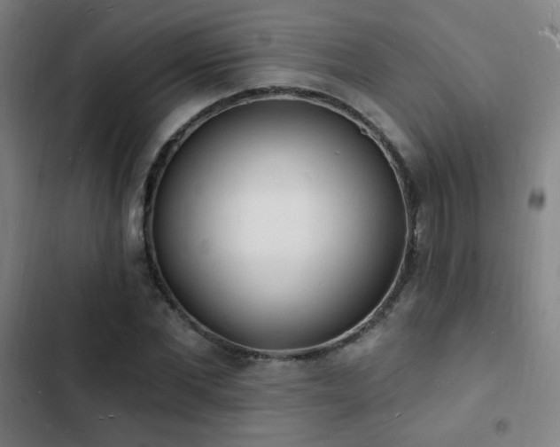 X0000103300877200808291403