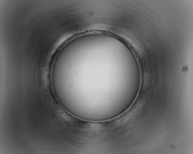 X0000103300878200808291403