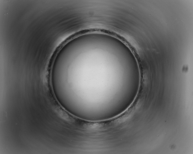 X0000103300879200808291403