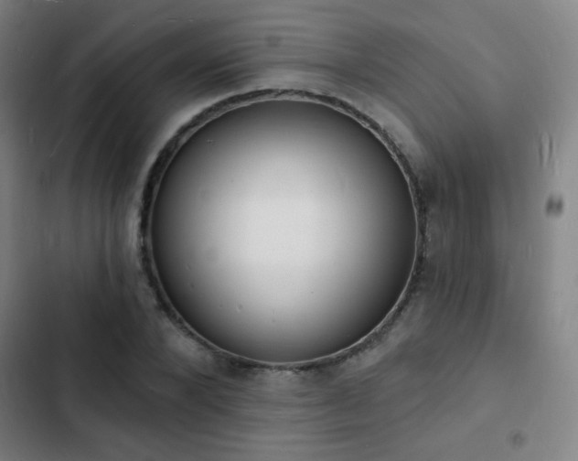 X0000103300880200808291403