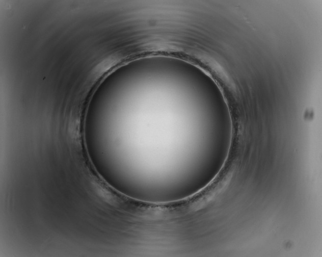 X0000103300881200808291403