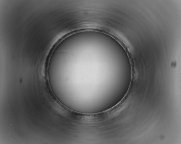 X0000103300883200808291403
