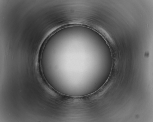 X0000103300884200808291403