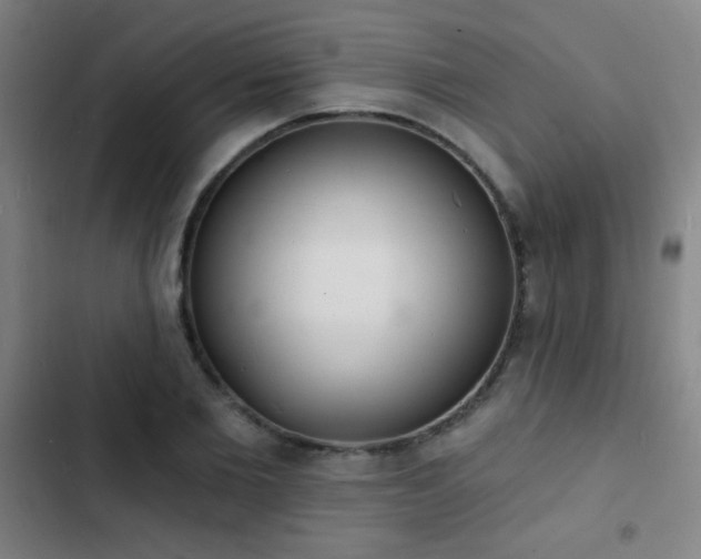 X0000103300885200808291403