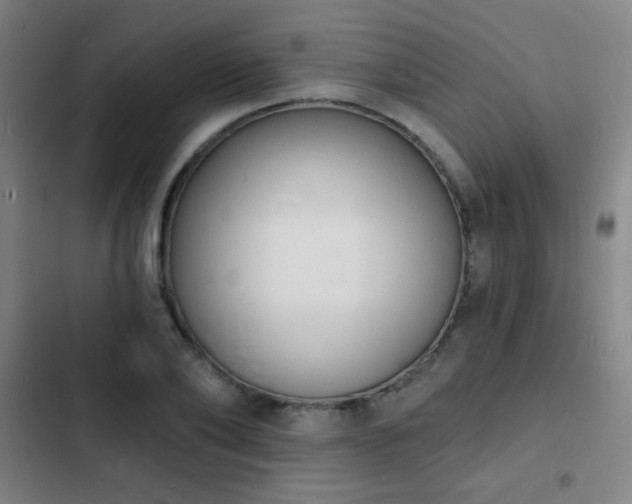 X0000103300886200808291403