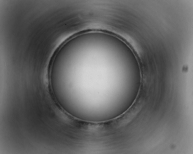 X0000103300887200808291403