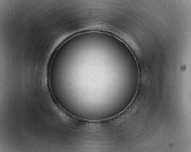 X0000103300888200808291403