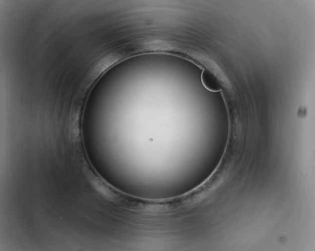 X0000103300889200808291403