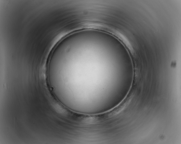 X0000103300891200808291403