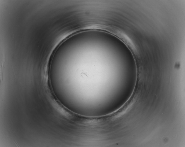 X0000103300892200808291403