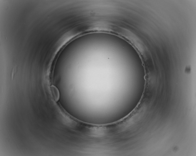 X0000103300893200808291403