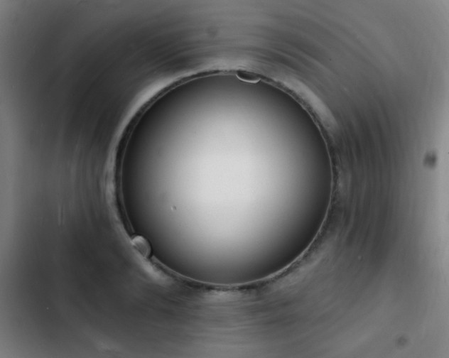 X0000103300894200808291403