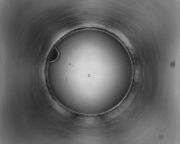 X0000103300895200808291403