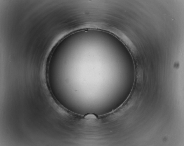 X0000103300896200808291403