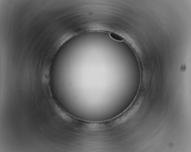 X0000103300897200808291403