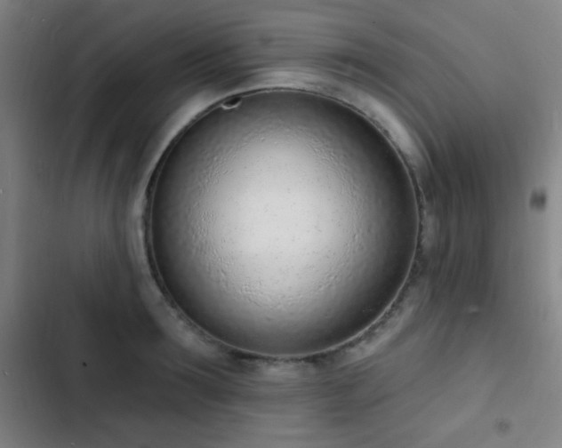 X0000103300899200808291403
