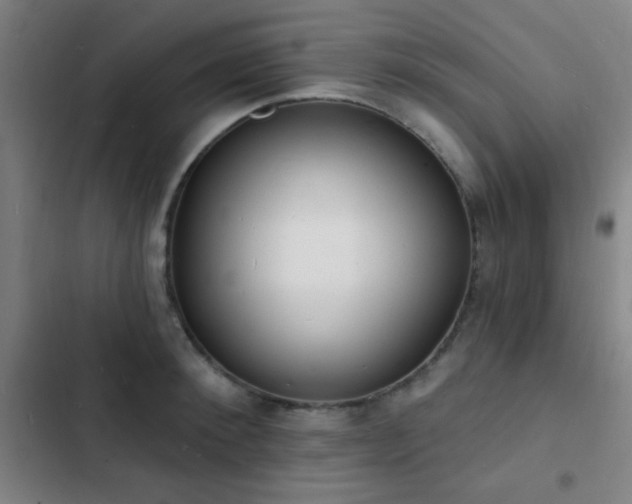 X0000103300900200808291403