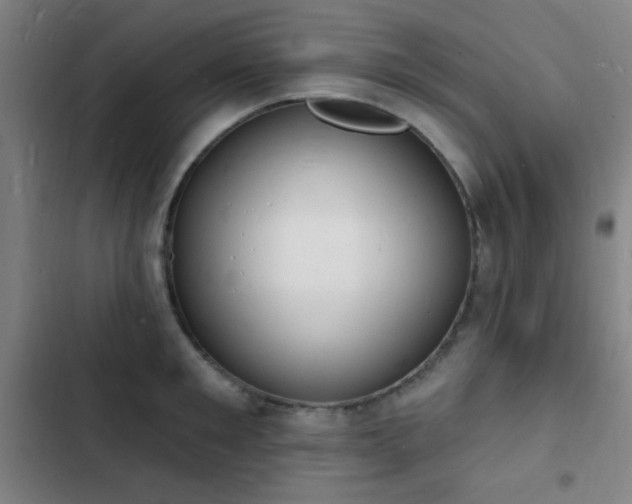 X0000103300901200808291403