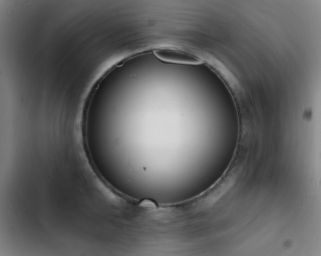 X0000103300902200808291402