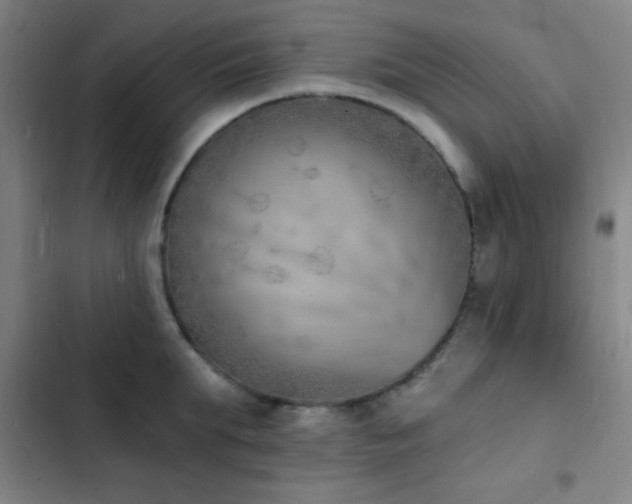 X0000103300903200808291402