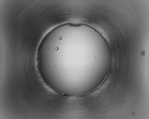 X0000103300904200808291402