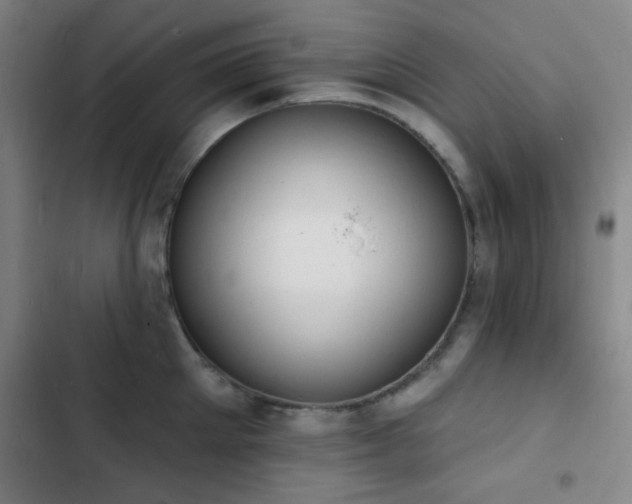 X0000103300905200808291402